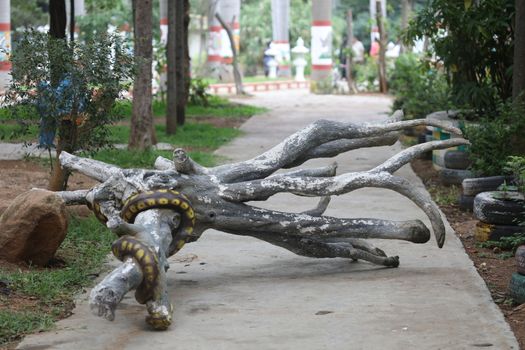 Indian Rural Art work