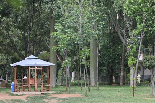 People in a park