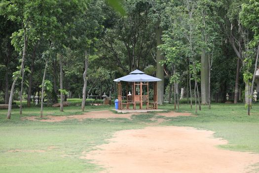 People in a park