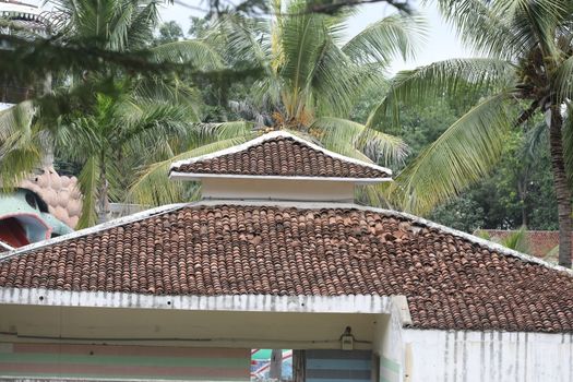 Indian Rural Art work
