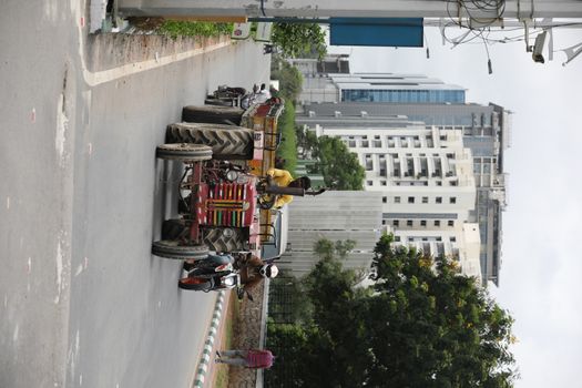 Goats on a city road
