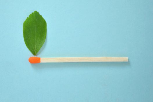 Conceptual Match with green leaf like a flame 