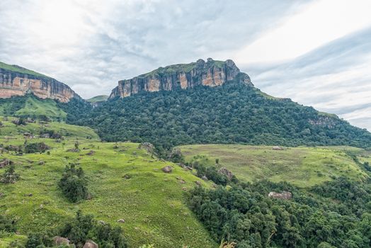 The view from Lookout Rock. The Gudu Falls, Gudu Forest and Ploughmans Kop are visible