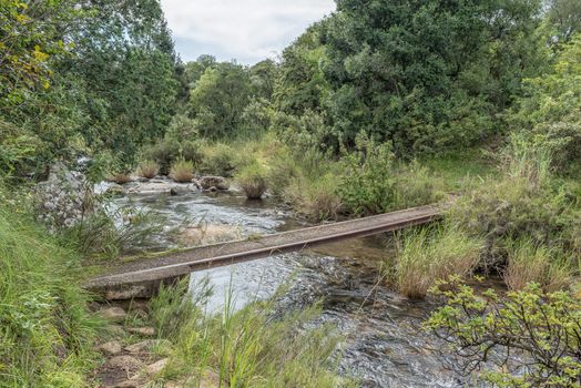 A pedestrian bridge on a hiking trail near Mahai in the Drakensberg