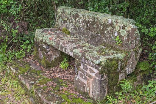 Lichen covered bench on the Ottos Walk trail near Mahai in the Drakensberg