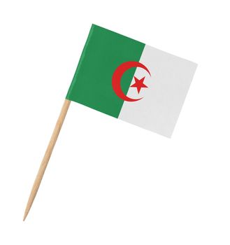 Small paper flag of Algeria on wooden stick, isolated on white