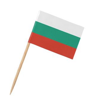 Small paper flag of Bulgaria on wooden stick, isolated on white