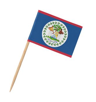 Small paper flag of Belize on wooden stick, isolated on white