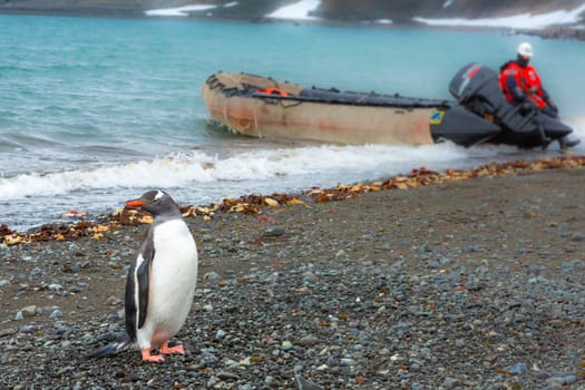 Beautiful landscape and scenery in Antarctica. Freezing