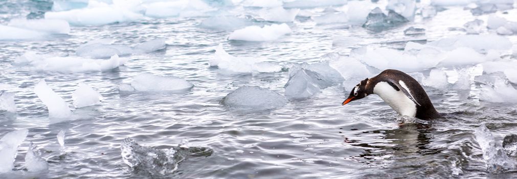 Beautiful landscape and scenery in Antarctica. Freezing