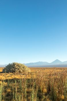 Atacama desert, Chile, Andes, South America. Beautiful view and landscape.