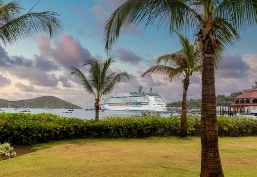 Luxury cruise ship docked in a bay beyond palm trees