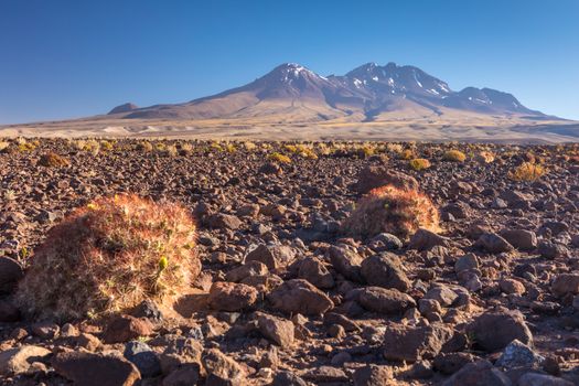 Atacama desert, Chile, Andes, South America. Beautiful view and landscape.