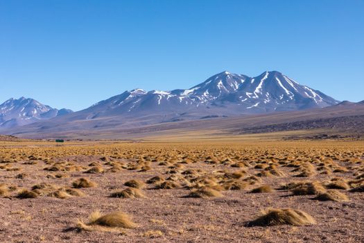 Atacama desert, Chile, Andes, South America. Beautiful view and landscape.