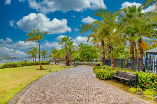 A brick walkway along the coast with palm trees and benches