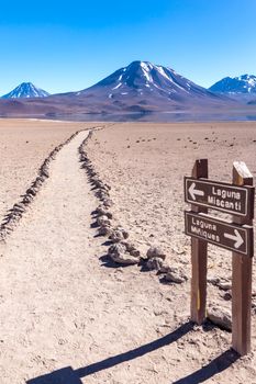 Lagunas Altiplanicas, Miscanti y Miniques, amazing view at Atacama Desert. Chile, South America.