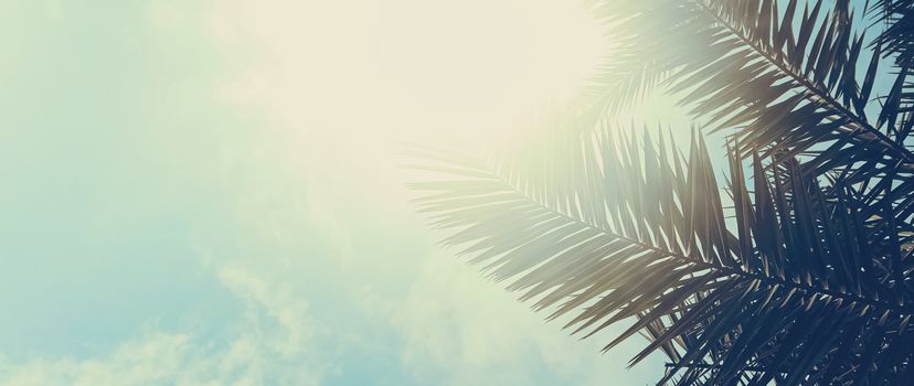 Tropical palm tree leaves in hot summer day as vintage background, summer nature and travel concept