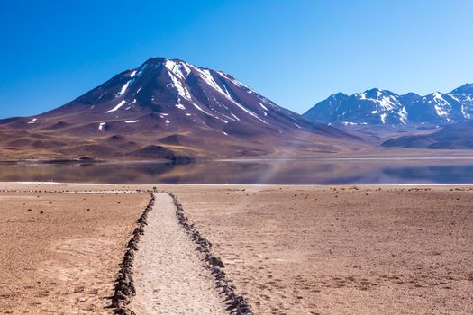 Lagunas Altiplanicas, Miscanti y Miniques, amazing view at Atacama Desert. Chile, South America.