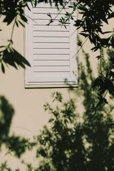 Shadows on the wall, sunshine and sun rays on summer day at sunset, nature and abstract concept