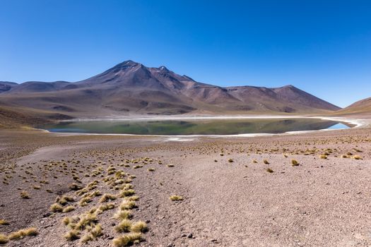 Lagunas Altiplanicas, Miscanti y Miniques, amazing view at Atacama Desert. Chile, South America.