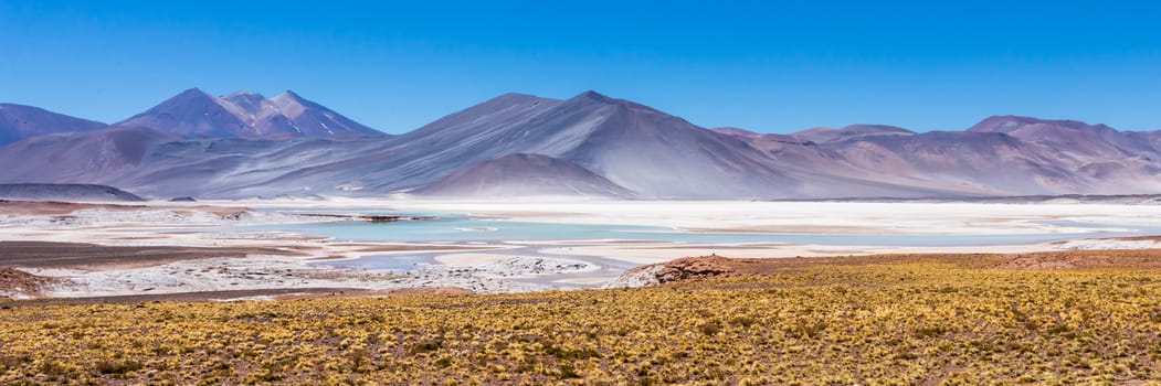 Atacama Desert, Chile. Salar Aguas Calientes. Lake Tuyacto. South America.