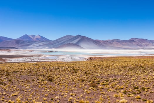 Atacama Desert, Chile. Salar Aguas Calientes. Lake Tuyacto. South America.