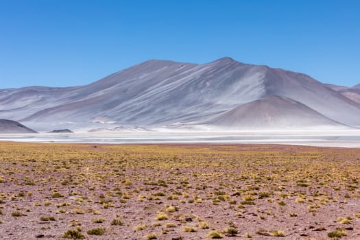 Atacama Desert, Chile. Salar Aguas Calientes. Lake Tuyacto. South America.