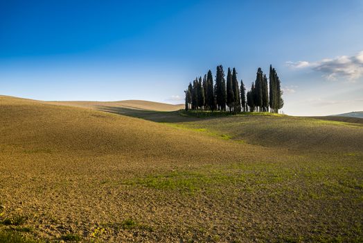 beautiful panorama of sunset in the Tuscany Hills.