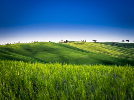 beautiful panorama of sunset in the Tuscany Hills.