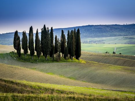 beautiful panorama of sunset in the Tuscany Hills.