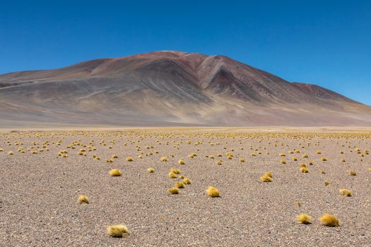 Atacama Desert, Chile. Salar Aguas Calientes. Lake Tuyacto. South America.