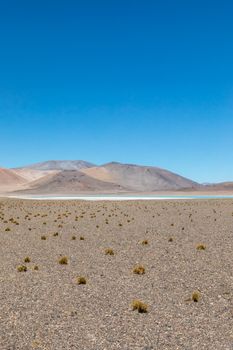 Atacama Desert, Chile. Salar Aguas Calientes. Lake Tuyacto. South America.