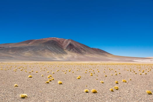 Atacama Desert, Chile. Salar Aguas Calientes. Lake Tuyacto. South America.