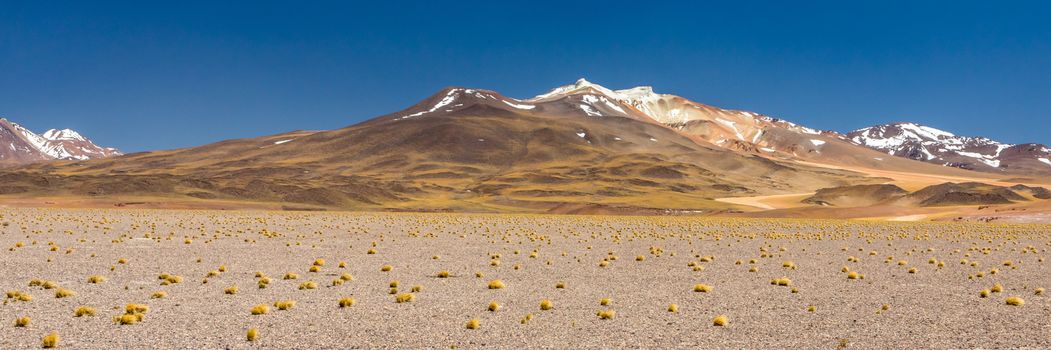 Atacama Desert, Chile. Salar Aguas Calientes. Lake Tuyacto. South America.