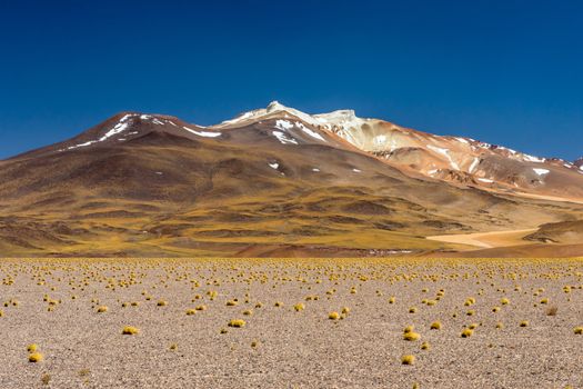 Atacama Desert, Chile. Salar Aguas Calientes. Lake Tuyacto. South America.