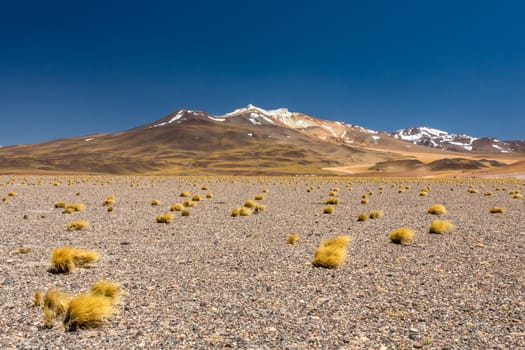 Atacama Desert, Chile. Salar Aguas Calientes. Lake Tuyacto. South America.