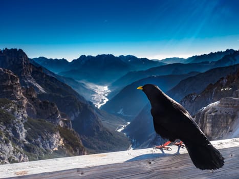 Dolomites. panorama of the Italian Alps