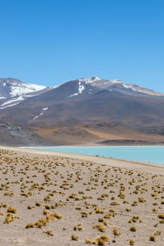 Atacama Desert, Chile. Salar Aguas Calientes. Lake Tuyacto. South America.