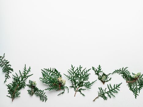 Minimal Christmas pattern with copy space. Fir tree or cypress branches on white background. Negative space for text or design. Christmas, winter, new year concept. Flat lay, top view