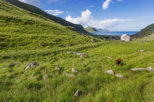 Beautiful scandinavian landscape with meadows, mountains and fjords. Lofoten islands, Norway.