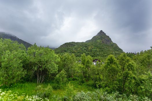 Beautifull scandinavian landscape with meadows and mountains. Lofoten islands, Norway.