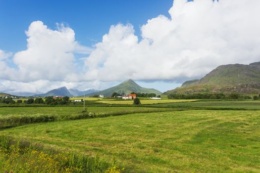 Typical scandinavian landscape with meadows, mountains and village. Lofoten islands, Norway.