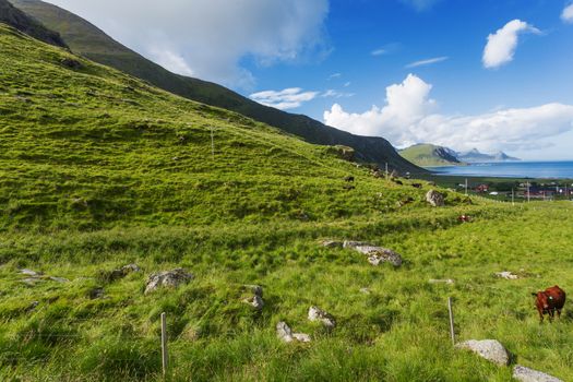 Beautiful scandinavian landscape with meadows, mountains and fjords. Lofoten islands, Norway.