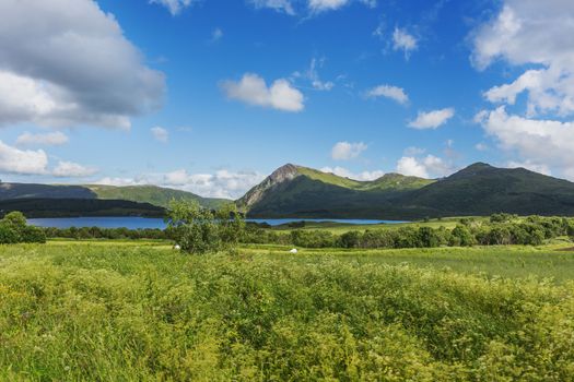 Typical scandinavian landscape with meadows, mountains and straw in special white plastic bags. Lofoten islands, Norway.