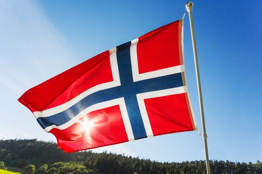 Flag of Norway waving in the wind against summer forest landscape in sunny day.