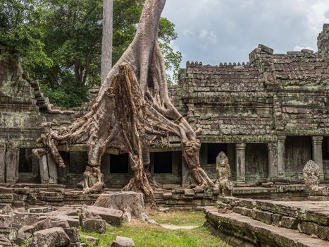 detail of Cambodia's Angkor wat temples