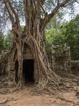 detail of Cambodia's Angkor wat temples