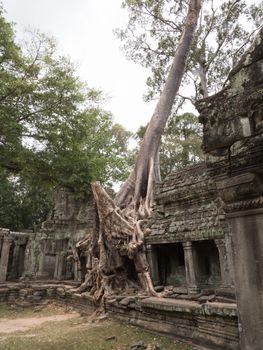 detail of Cambodia's Angkor wat temples