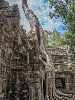 detail of Cambodia's Angkor wat temples