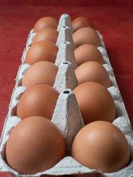 eggs in their box on red background